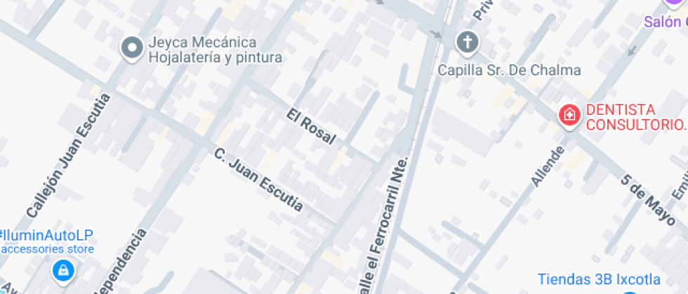 Anton Van Leeuwenhoek