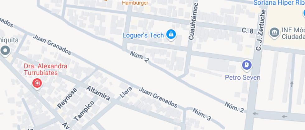 Campanita Plantel Num. 2