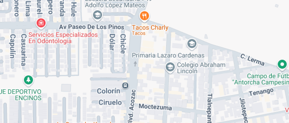 Bachillerato Liceo Sakbe De Mexico