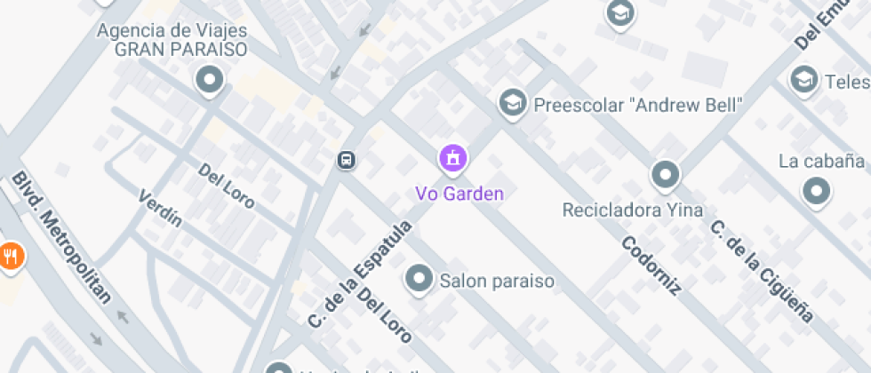 Carlos Pellicer Camara