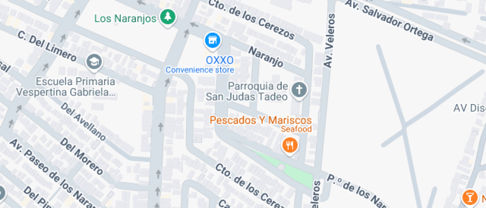 Carolina Baur Arenas, A. C.