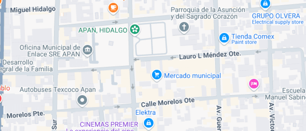 De Capacitacion De La Mujer Apanense