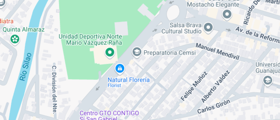 De Educacion Media Superior De Irapuato