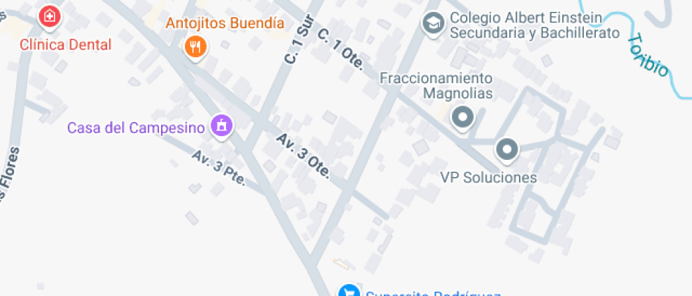  De Estudios Albert Schweitzer