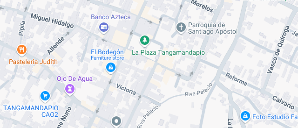 De Estudios De Irapuato