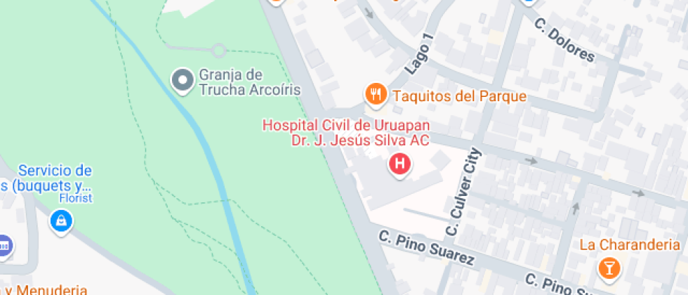 De Estudios Dr. J. Jesús Silva