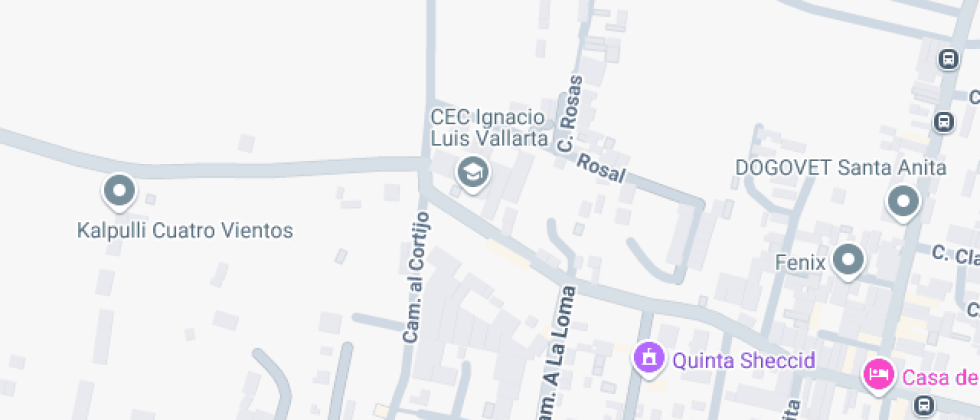 De Estudios Por Competencias Ignacio Luis Vallarta