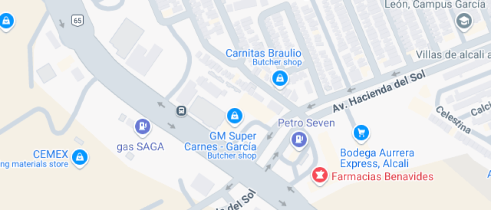 De Estudios Regiomontanos Plantel Garcia