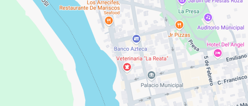 Noroeste De Veracruz, Plantel El Higo