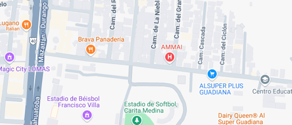 En Negocios Y Humanidades