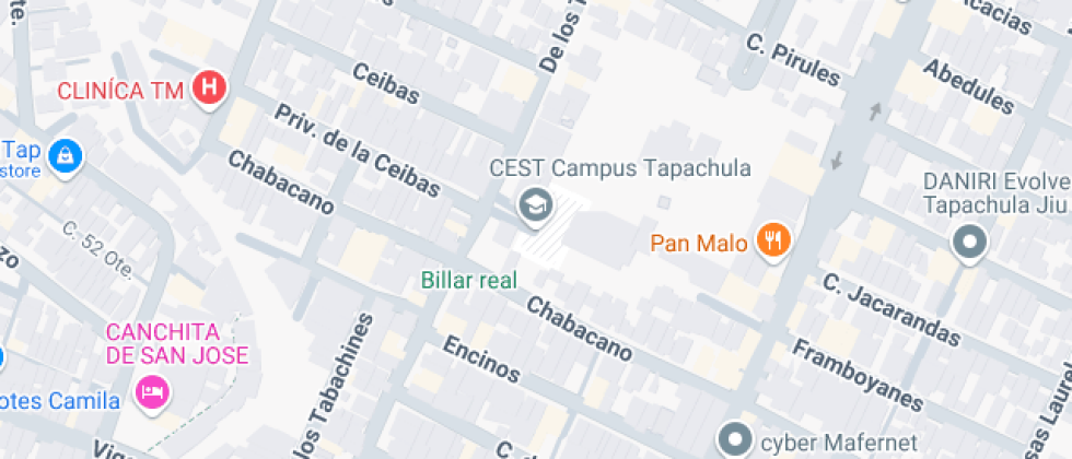 De Estudios Tapachula