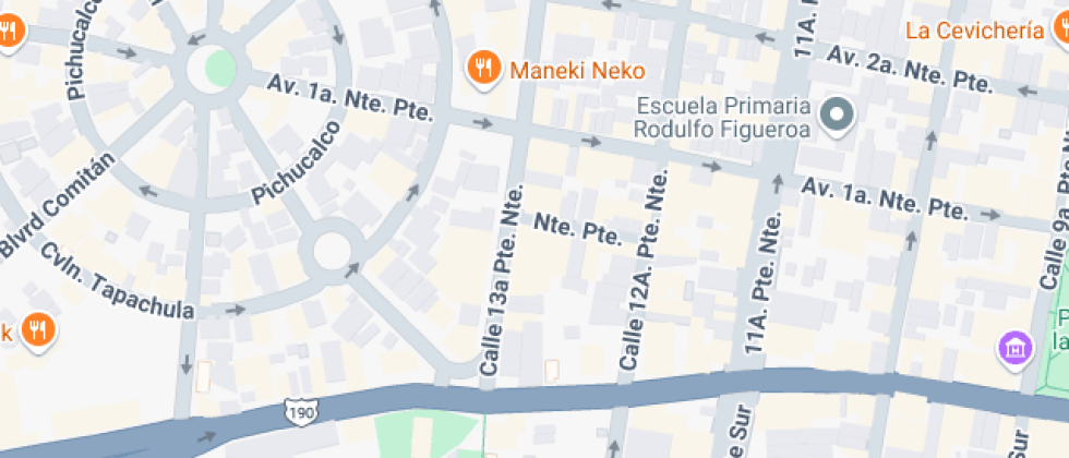 Formacion Tecnica Vicente Guerrero