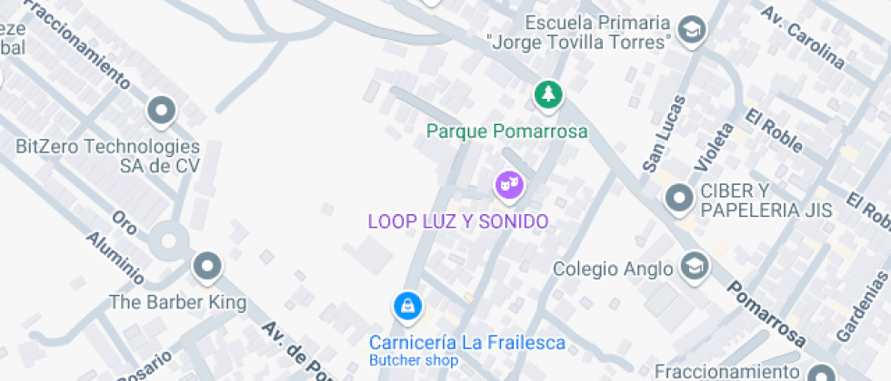 Bertha Von Glumer Leyva