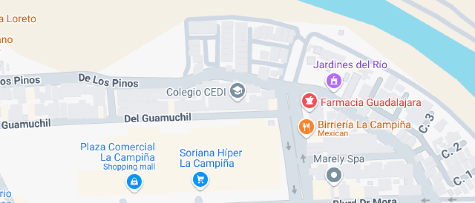 Desarrollo Integral  (CEDI)