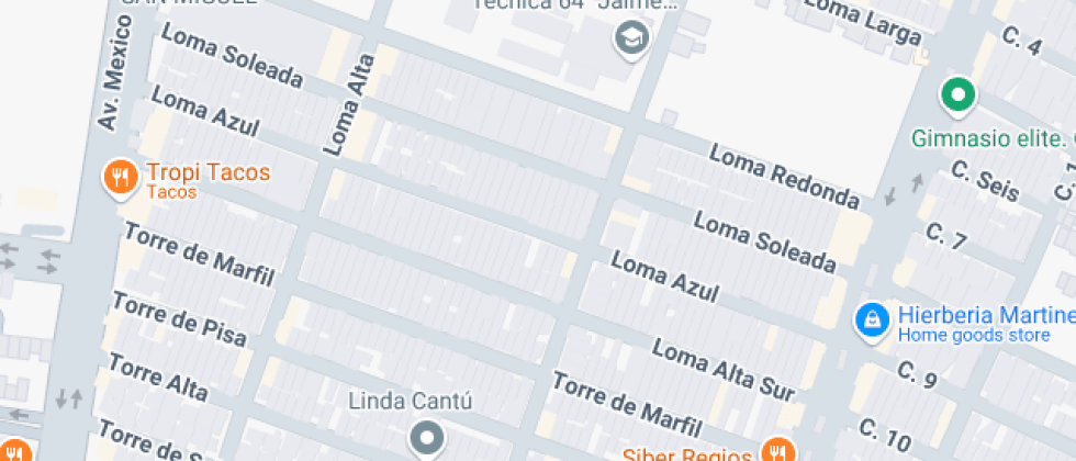 Gregor Johann Mendel