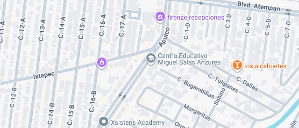 Colegio Miguel Salas Anzures, A.c.