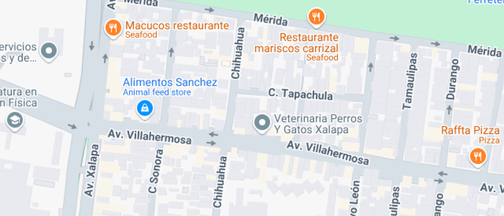 Siglo XXi Las Animas, S.c.