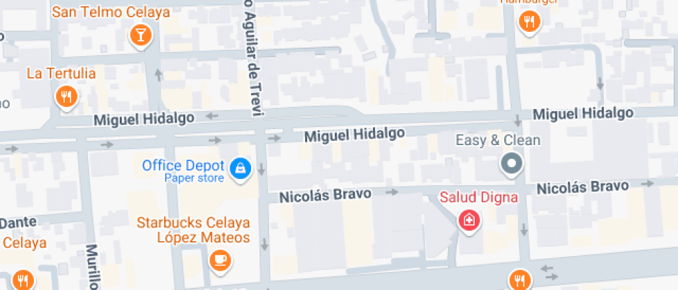 Especializado De Idiomas De Celaya