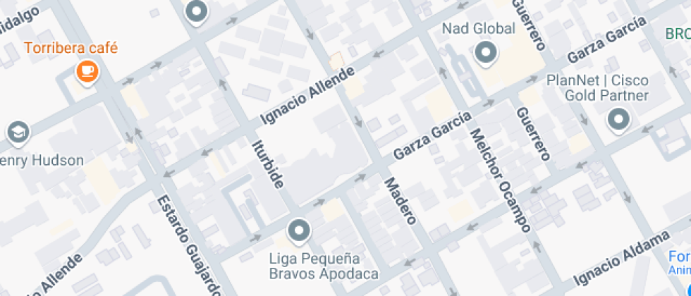 De Desarrollo Apodaca