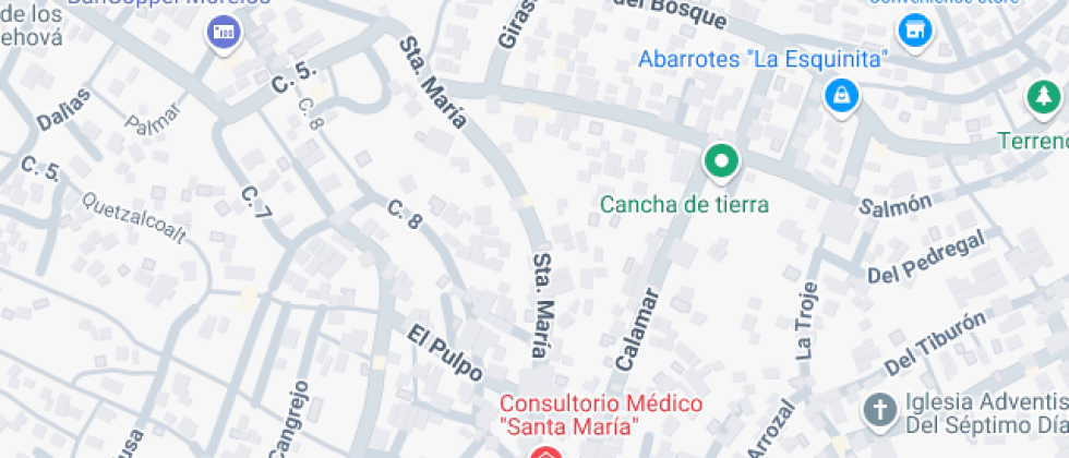 Psicopedagogico Y Artistico Salvador Novo