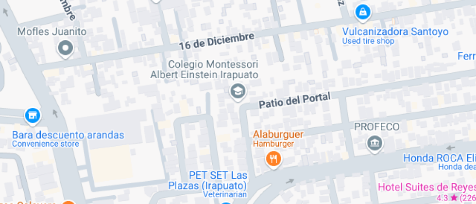 Montessori Albert Einstein