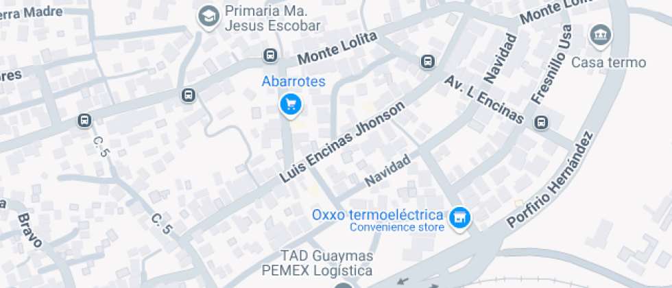 Colegio  Americano De San Carlos