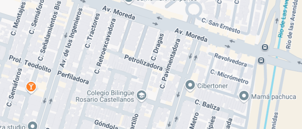 Bilingüe Rosario Castellanos