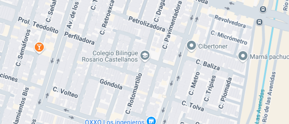 Bilingüe Rosario Castellanos