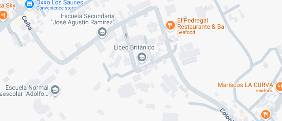 Particular Incorporado Plantel Liceo Infantil Britanico De Chilpancingo S.c.