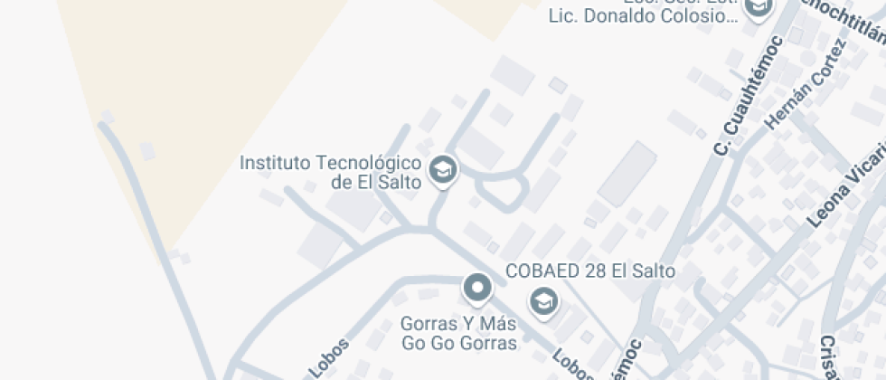 Instituto Tecnológico de El Salto