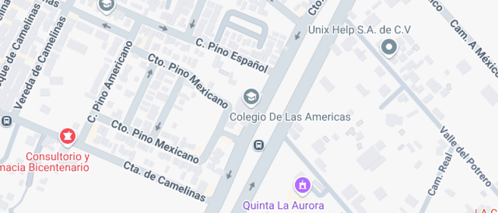 Las Americas De Leon