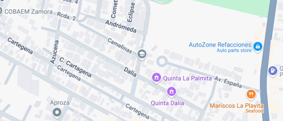 Guadalupe Ortiz De Landazuri