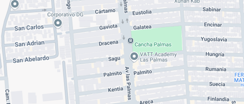  Juvencio Vidal Guajardo