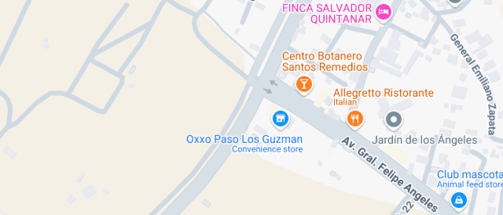 Nuevo Hidalgo 