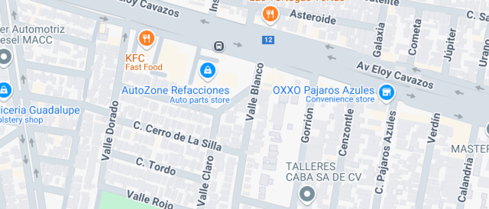 Profra. Enriqueta de Parodi