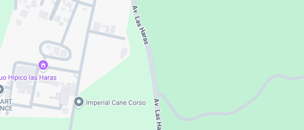 Teresiano America Haras