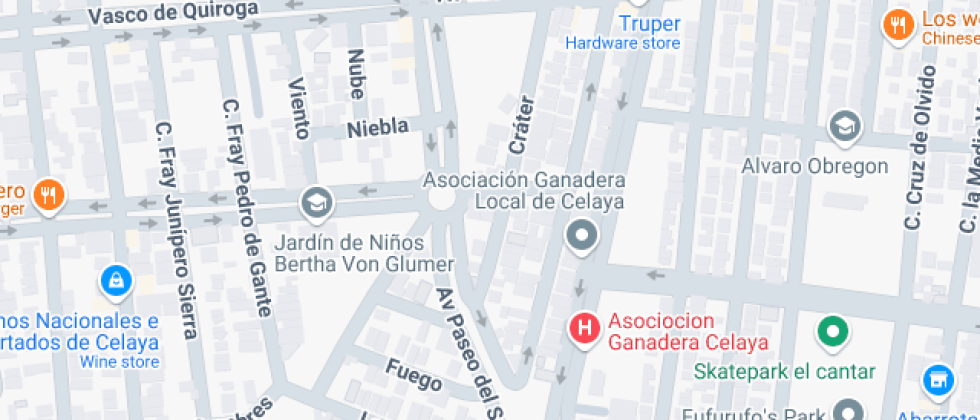 Desarrollo Del Alto Potencial Infantil