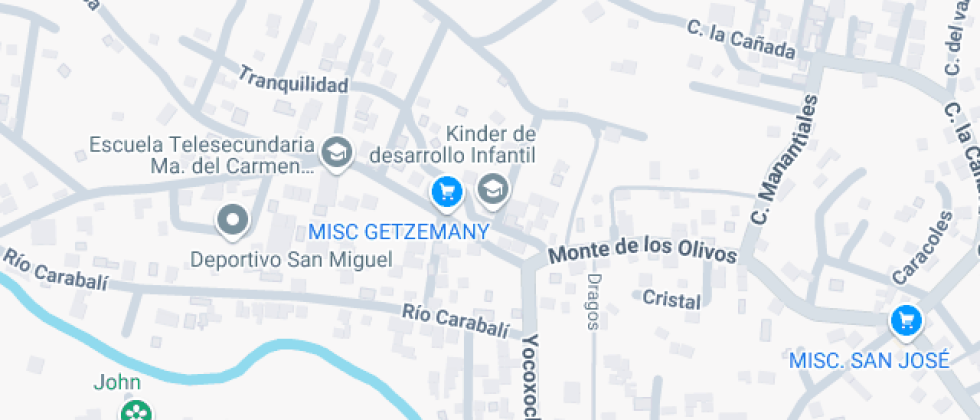 Desarrollo Infantil Fortunato