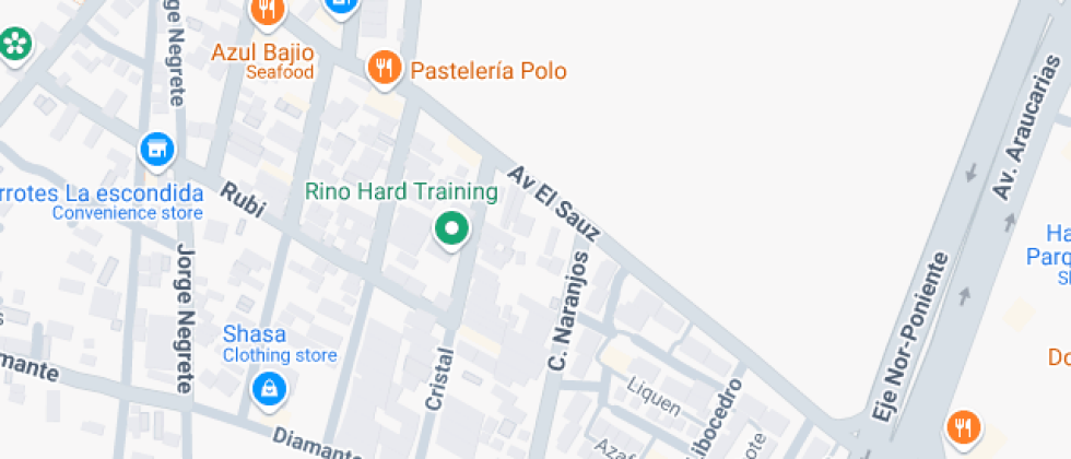 Donald Woods Winnicott