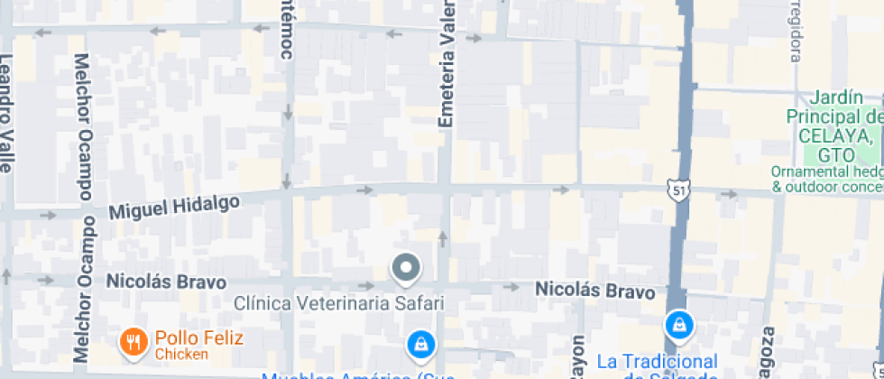 Educacion Nuevo Milenio