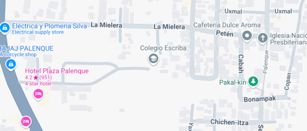 El Escriba De Palenque