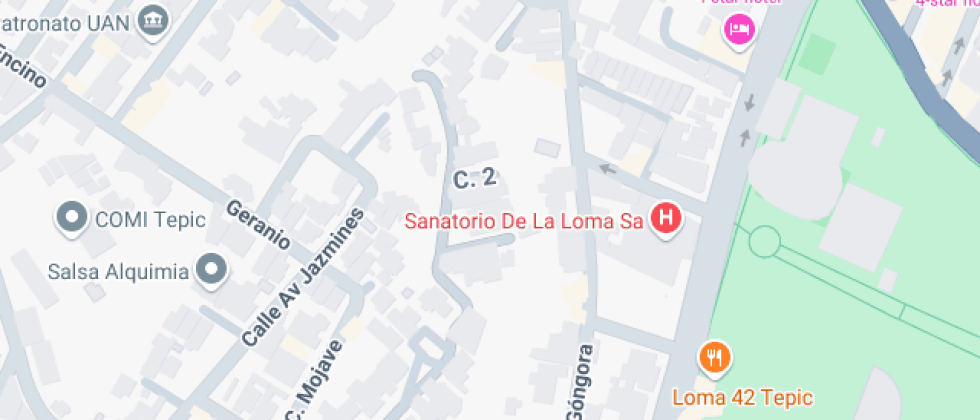 Consorcio De Profesionistas En Informatica E Ingles