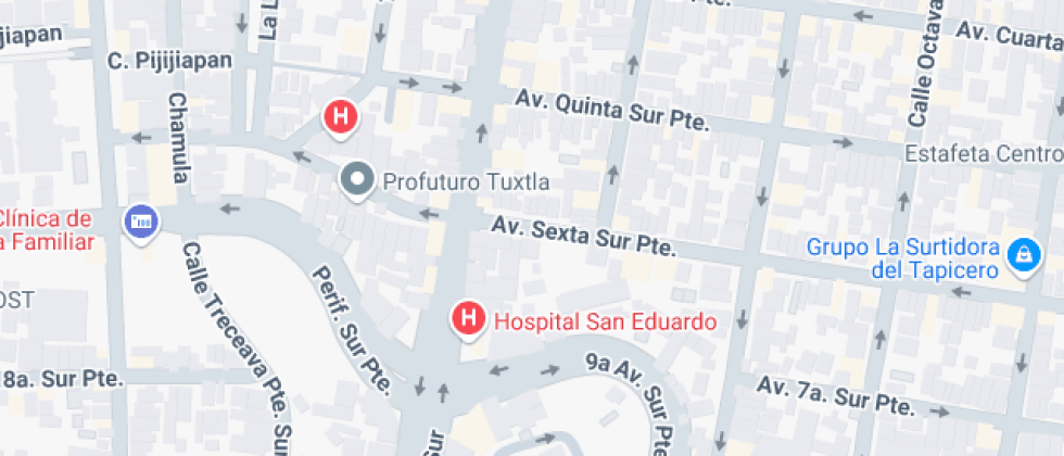 De Competencias Profesionales De Alto Rendimiento De Chiapas