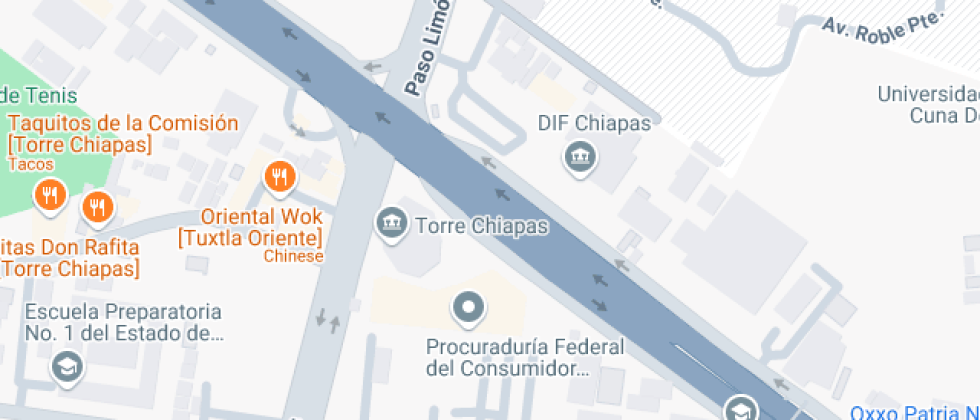 De Terapia Fisica Del Sistema Para El Desarrollo Integral De La Familia Del Estado De Chiapa