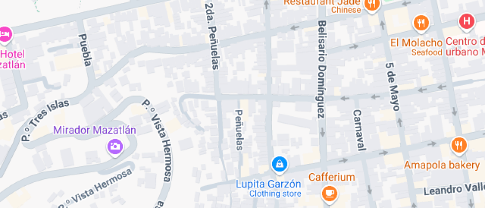 De Las Bellas Artes Chayito Garzon