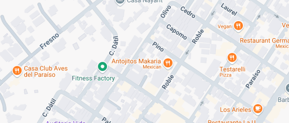 Especial De Danza Hawaiano Y Tahitiano Aloha