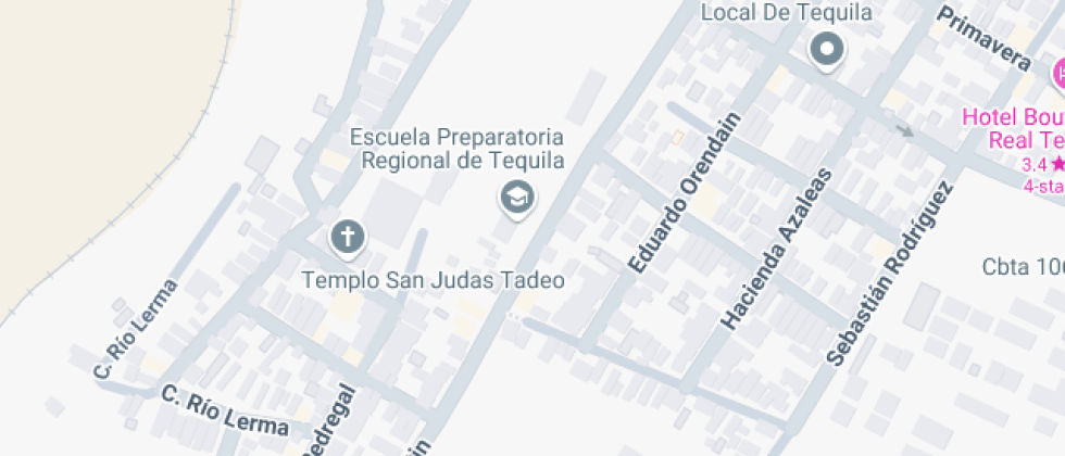 Num 199 Walt Disney Kinder