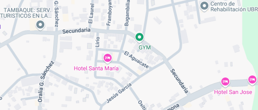 Forjando Triunfadores