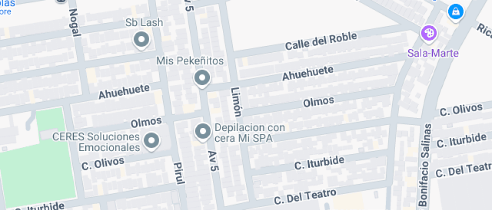 location map image