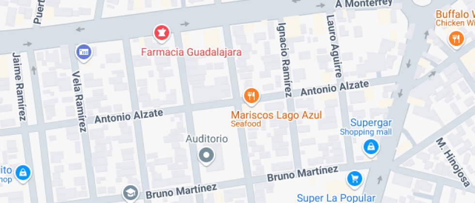 Bilingue Rafaela Saldana Garcia